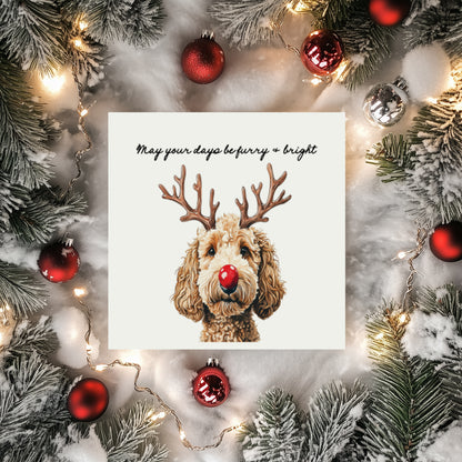 Furry & Bright Dog Christmas Cards: Set of 4 Mixed or One Design