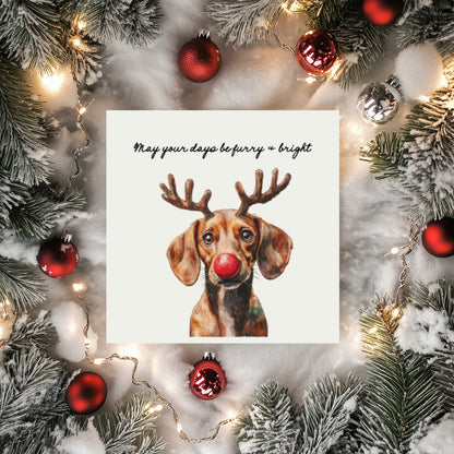 Furry & Bright Dog Christmas Cards: Set of 4 Mixed or One Design
