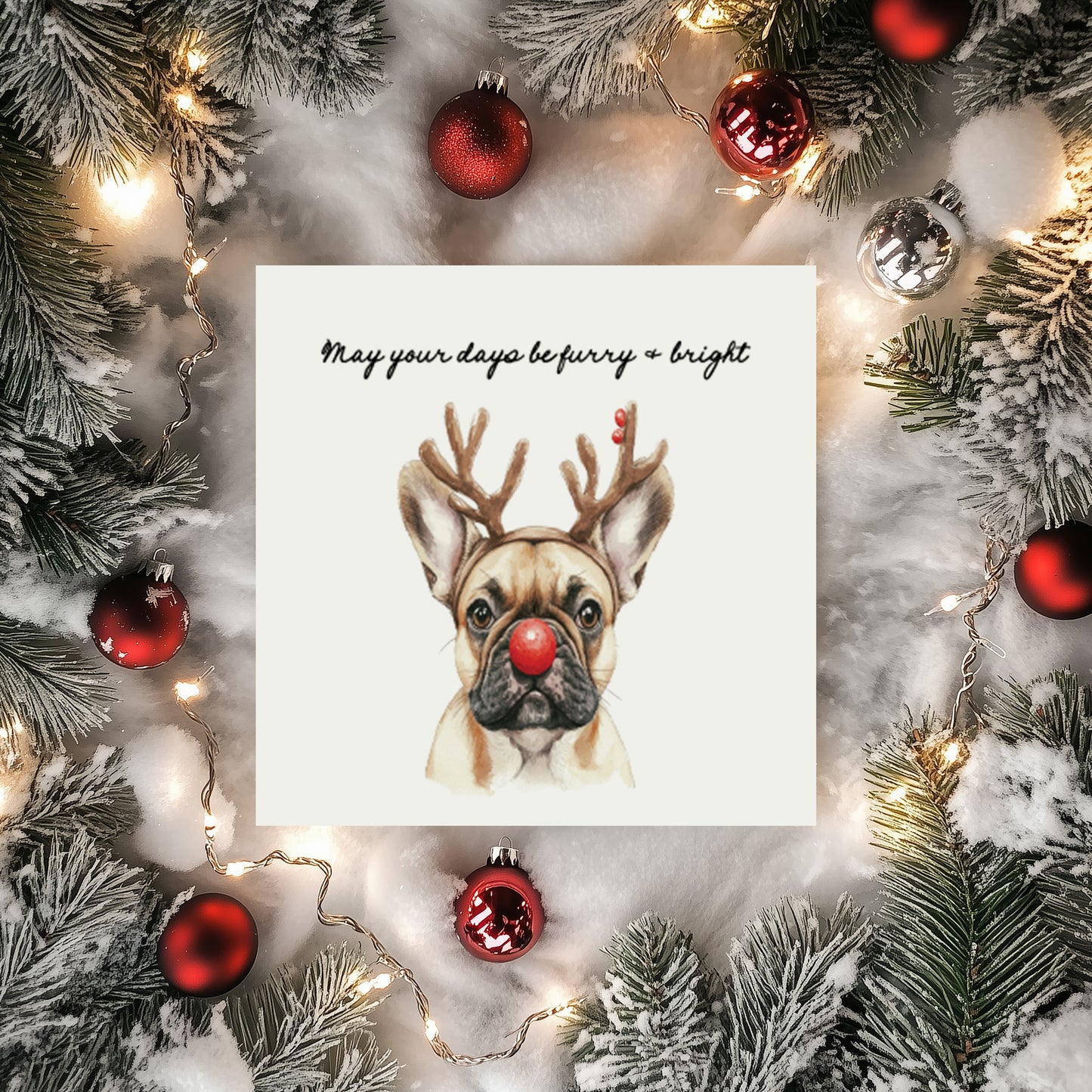 Furry & Bright Dog Christmas Cards: Set of 4 Mixed or One Design