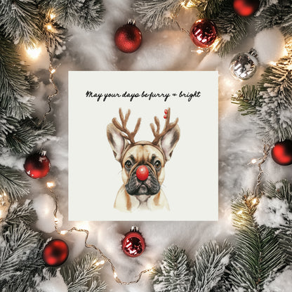 Furry & Bright Dog Christmas Cards: Set of 4 Mixed or One Design